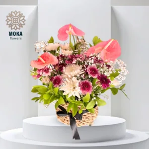 Anthurium Flowers